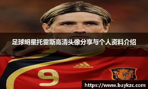 足球明星托雷斯高清头像分享与个人资料介绍